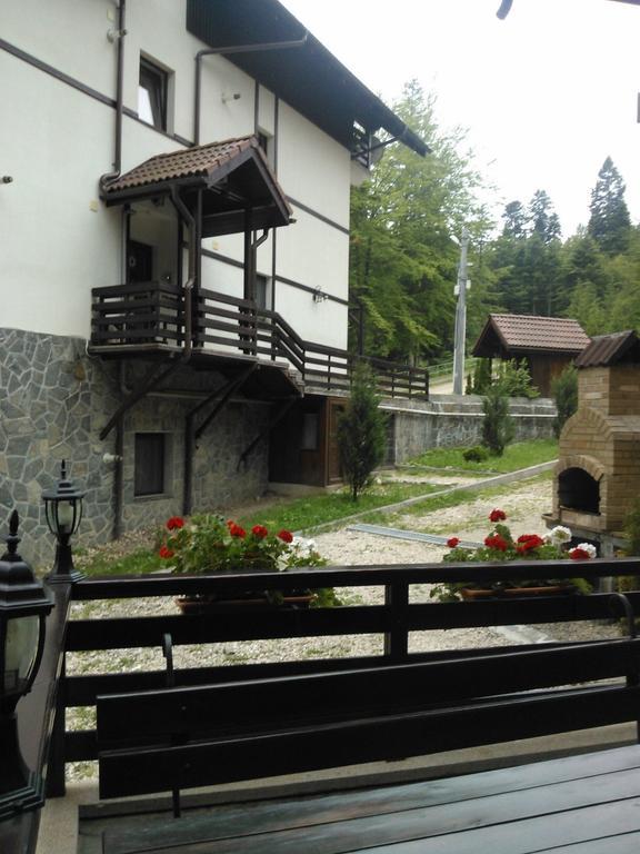 Vila Dani Σινάια Δωμάτιο φωτογραφία